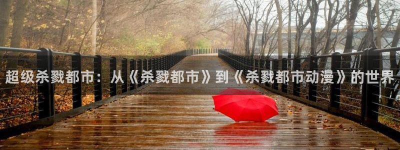 58动漫网站官网首页