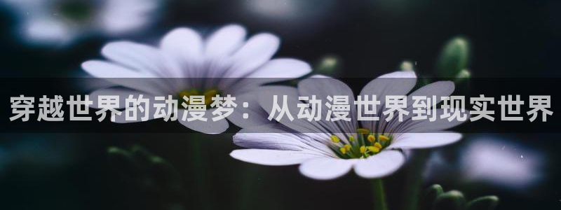 58动漫网免费