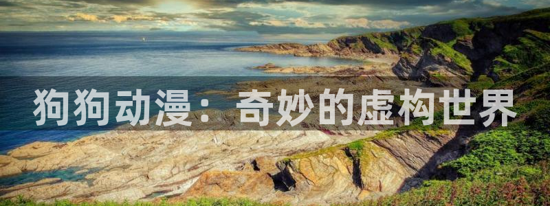 58动漫网站官网